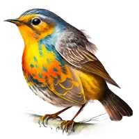 طيور و عصافير للبيع في المانيا : أفضل الأسعار