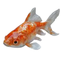 اسماك زينة وأحياء مائية للبيع في المانيا