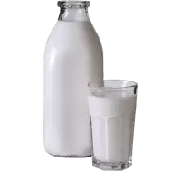 البان و اجبان فى المانيا