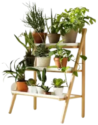 مشتل نباتات فى المانيا