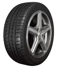 جنط مع كوشوك فى المانيا