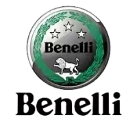 بينيلي فى المانيا