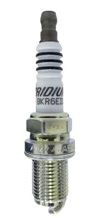 بواجي - مساحات - حمالات فى المانيا