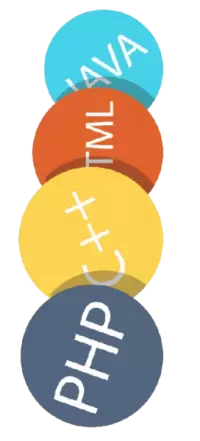 لغات البرمجة فى المانيا