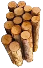 اشجار تالفة للحطب فى المانيا