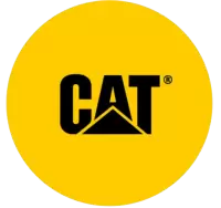 كات فى المانيا