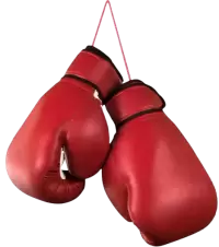 تجهيزات أخرى فى المانيا