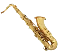 آلات نفخ موسيقية للبيع في المانيا